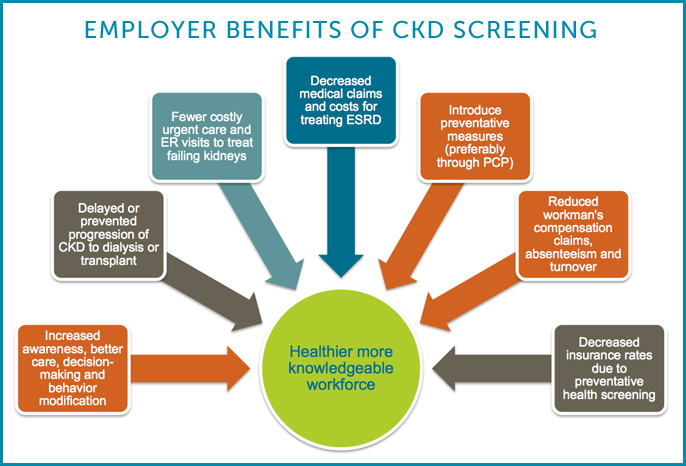 Infographic: Employer Benefits of CKD Screening